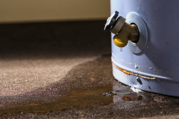 Best Emergency water extraction  in Estero, FL