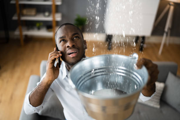 Best Water damage repair service  in Estero, FL