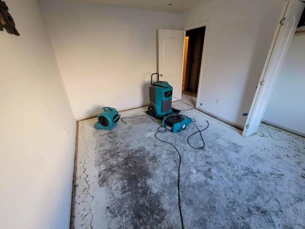 Best Fire Damage Restoration  in Estero, FL