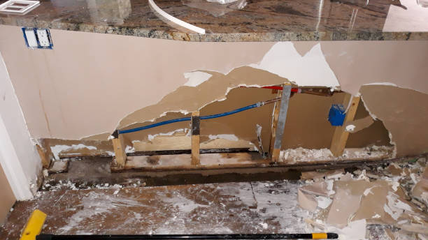 Best Emergency water damage restoration  in Estero, FL