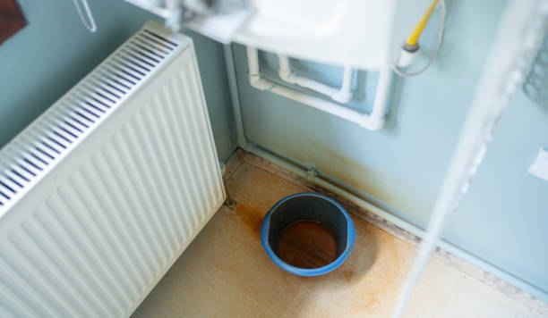 Best Mold removal after water damage  in Estero, FL