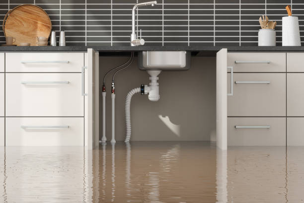 Best Flood damage cleanup  in Estero, FL