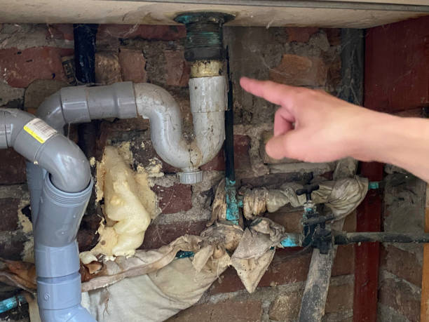 Best Flood damage cleanup  in Estero, FL