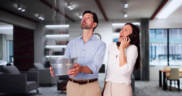 Best Water damage restoration experts  in Estero, FL