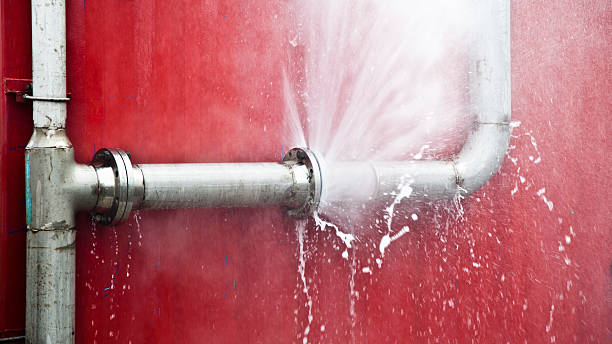 Best Sewage cleanup and water damage restoration  in Estero, FL